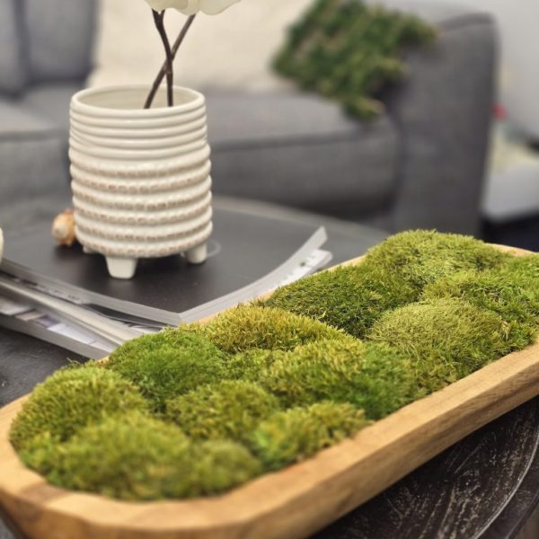 Long moss Bowl