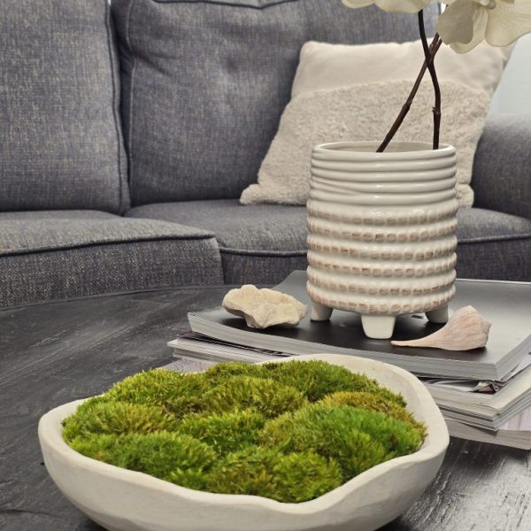 Organic Edge Wood Moss Bowl