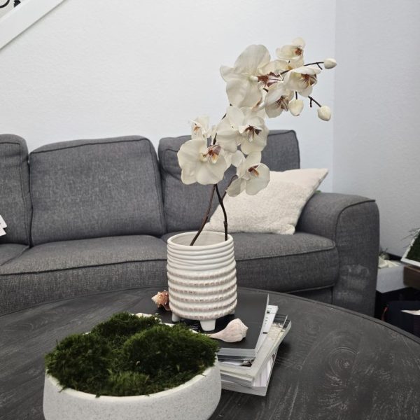 Forest calm Pedestal Bowl