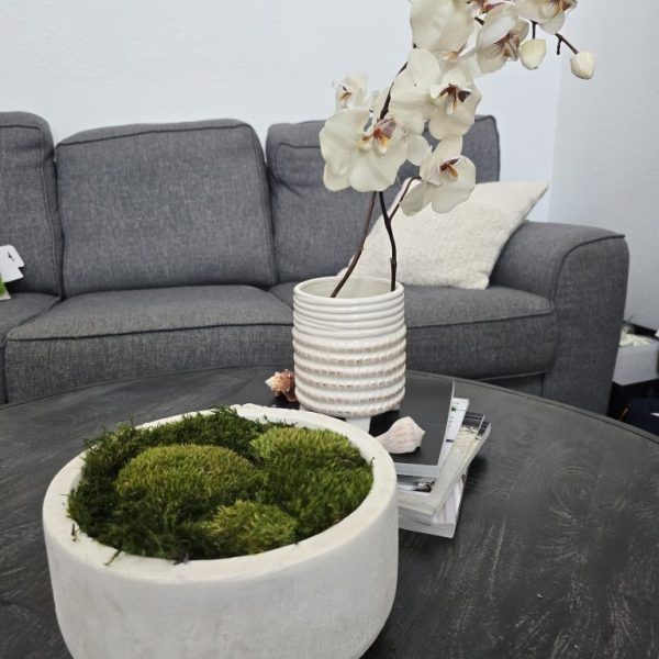 Serene Grove Wood Bowl