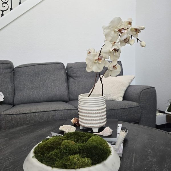 Marble Grove Moss Bowl